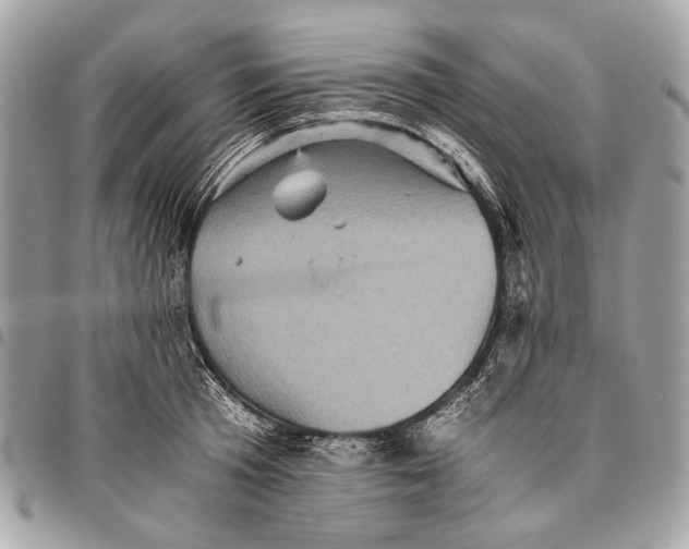 X0000096220801200802081524