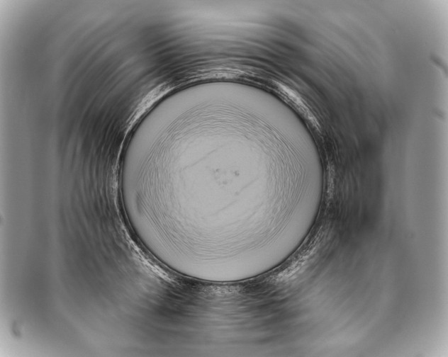 X0000096220802200802081524