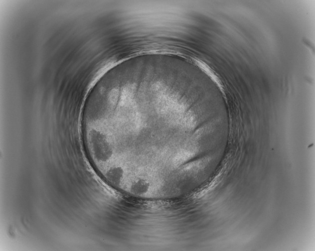 X0000096220803200802081524