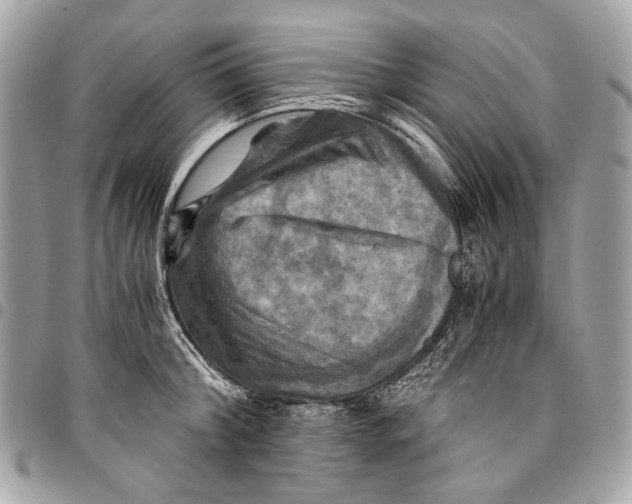 X0000096220804200802081524