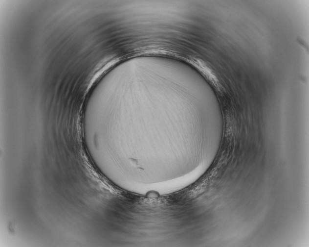 X0000096220806200802081524