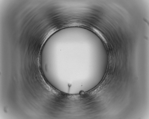 X0000096220810200802081524