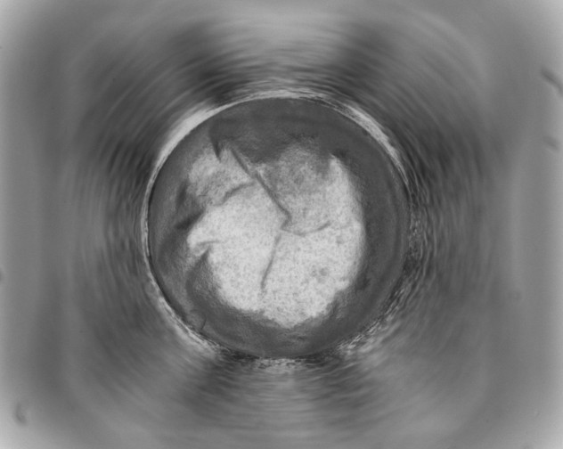 X0000096220811200802081524