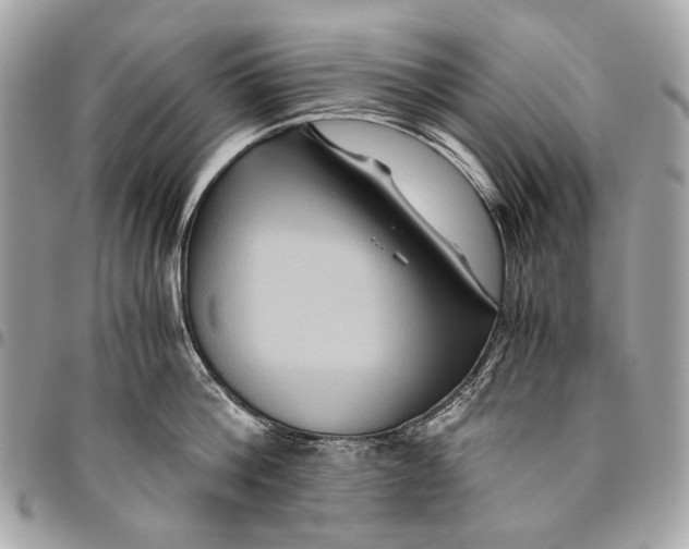 X0000096220812200802081524