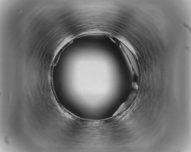 X0000096220813200802081524