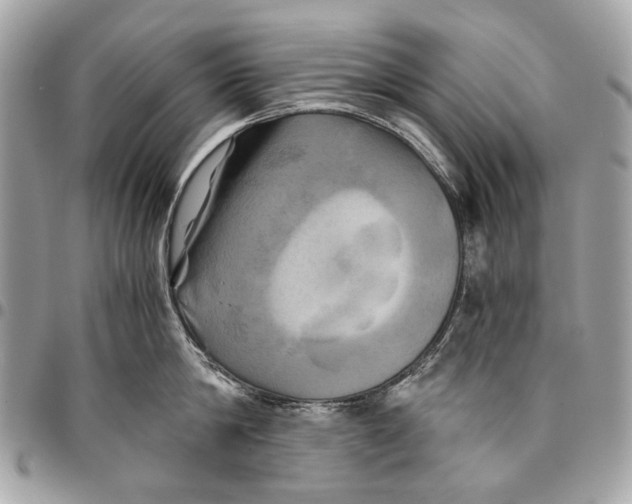 X0000096220814200802081524