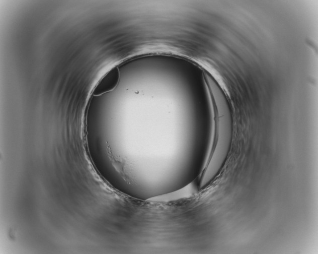 X0000096220815200802081524