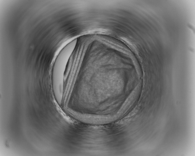 X0000096220816200802081524