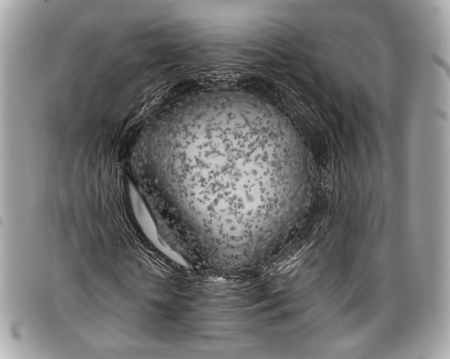 X0000096220818200802081523