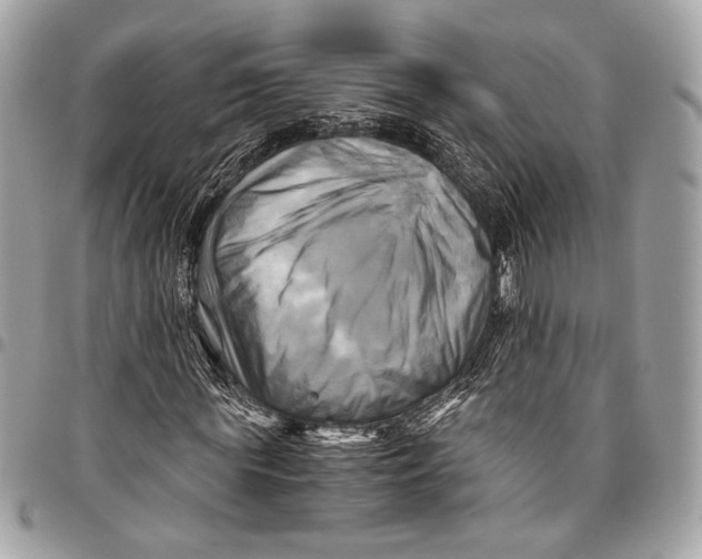 X0000096220819200802081523