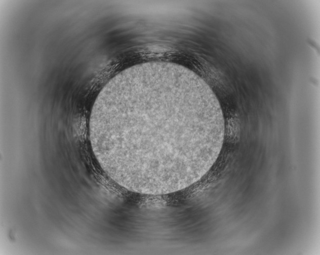 X0000096220820200802081523