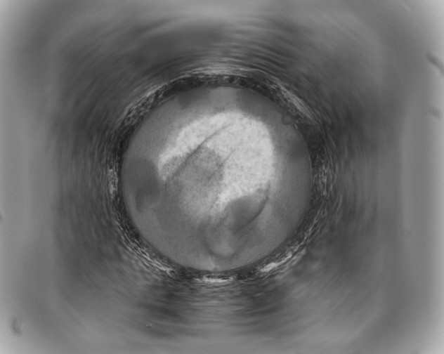 X0000096220821200802081523