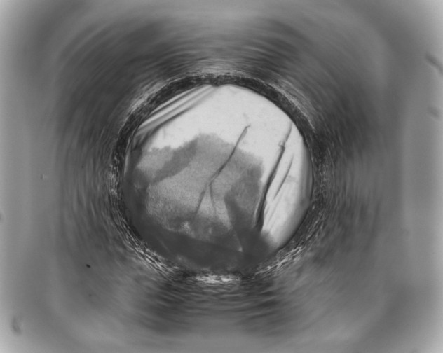 X0000096220823200802081523