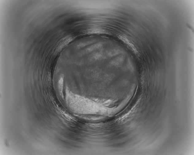 X0000096220825200802081523