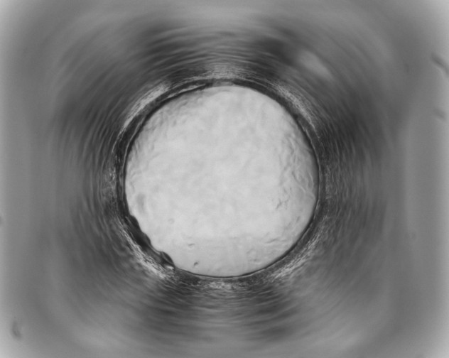 X0000096220827200802081523