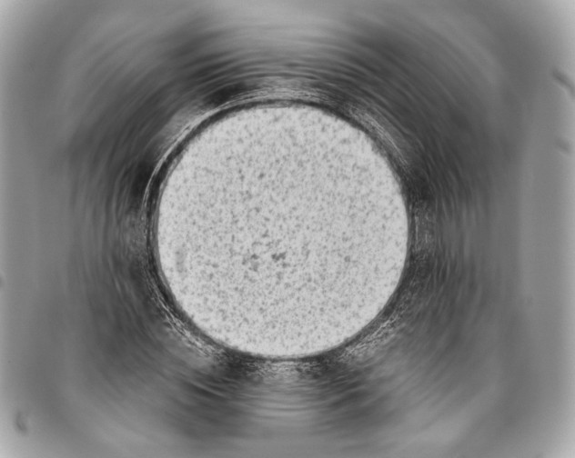 X0000096220828200802081523