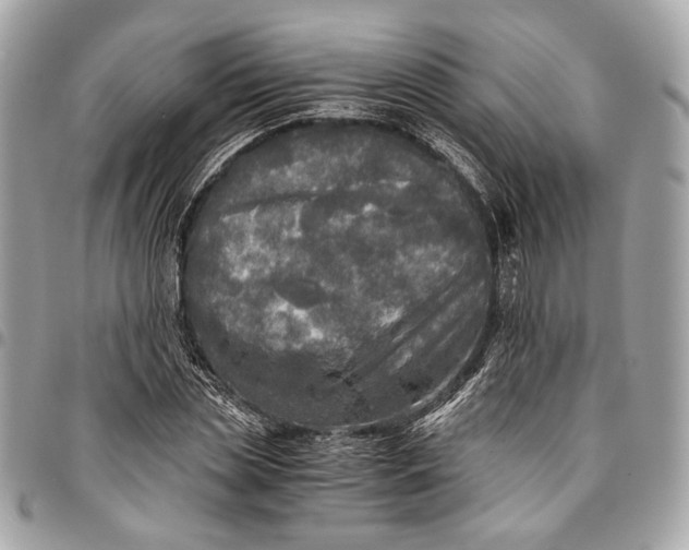 X0000096220829200802081523