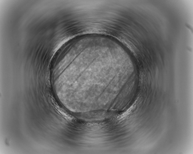 X0000096220830200802081523