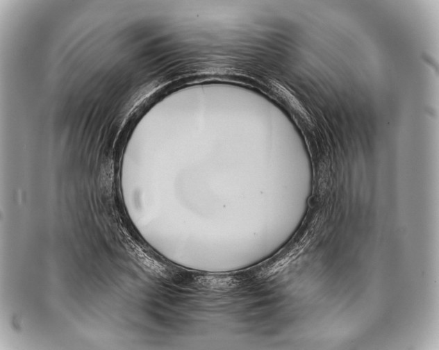 X0000096220831200802081523