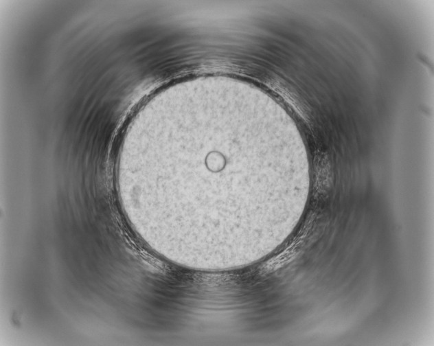 X0000096220832200802081523