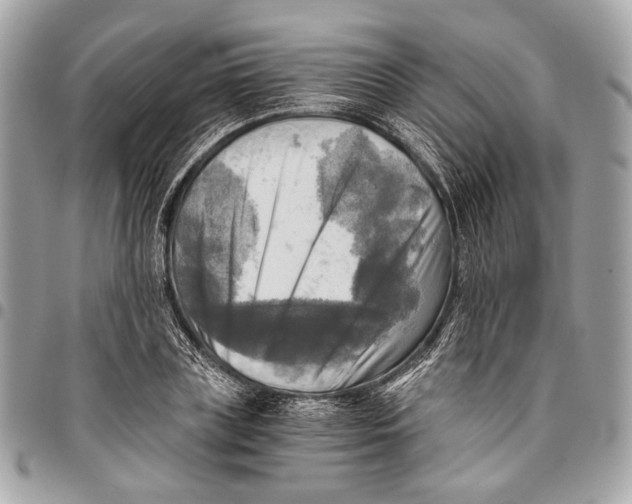 X0000096220835200802081523