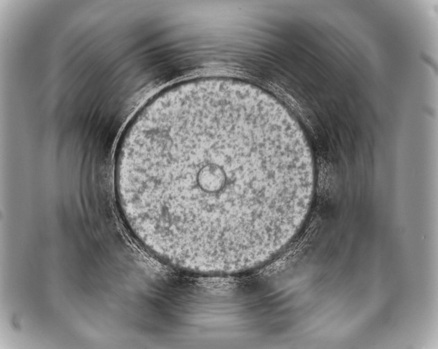 X0000096220836200802081523