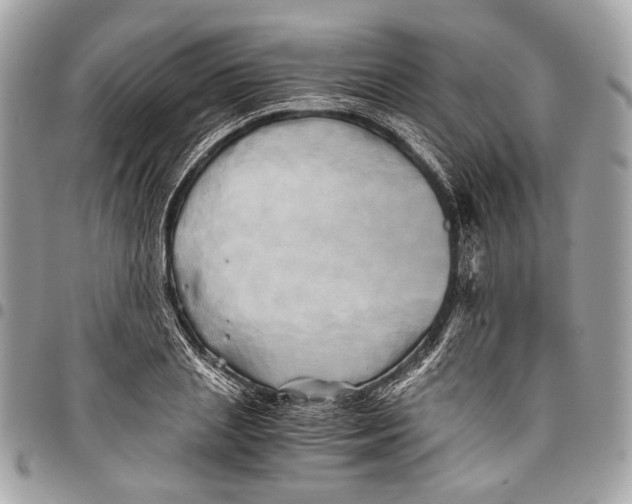 X0000096220837200802081523