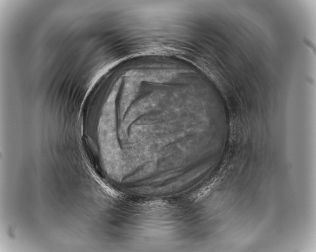 X0000096220838200802081523