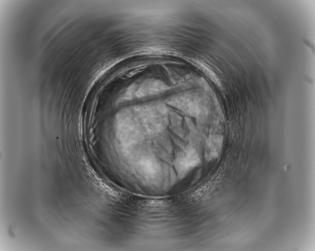 X0000096220839200802081523