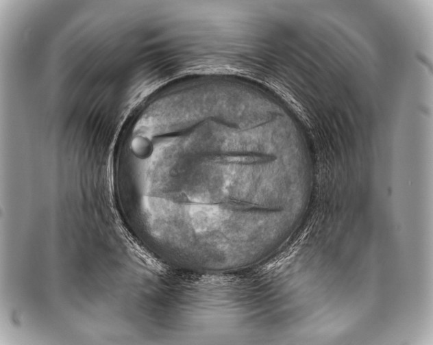 X0000096220840200802081523