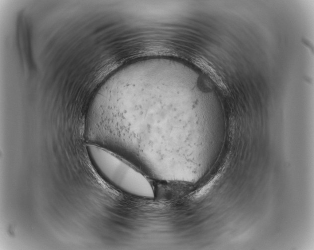 X0000096220841200802081523