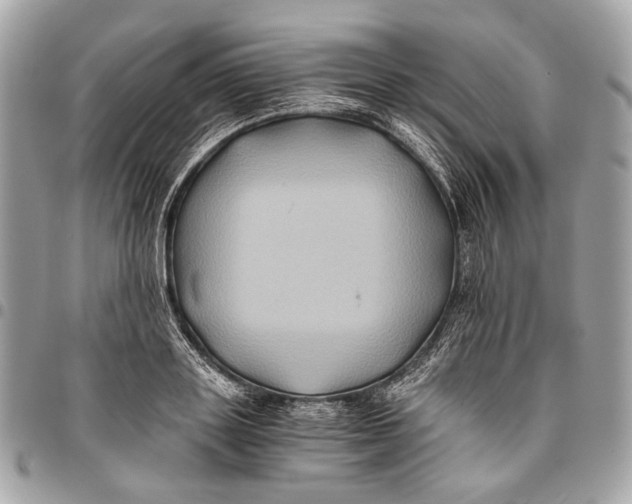 X0000096220843200802081523