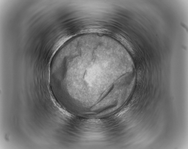 X0000096220844200802081523