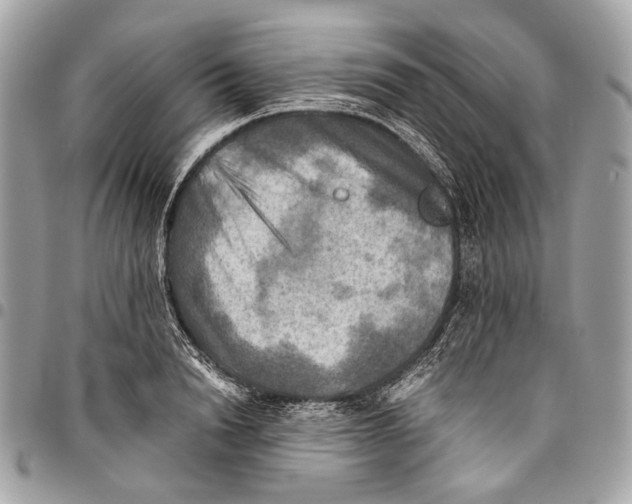 X0000096220846200802081523