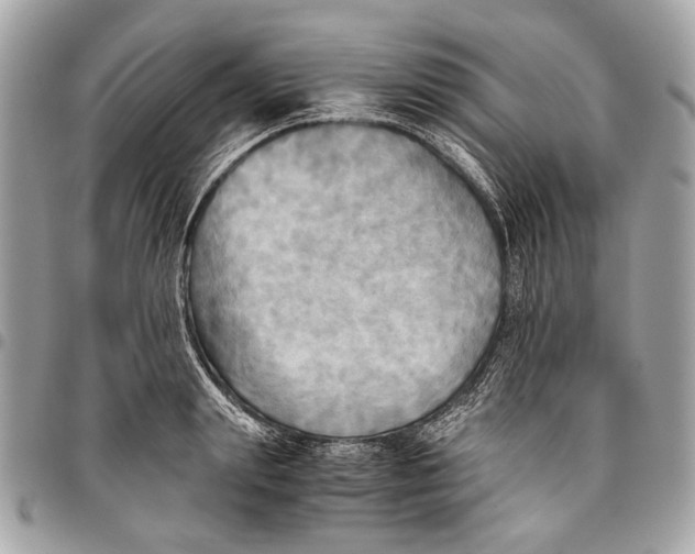 X0000096220847200802081523