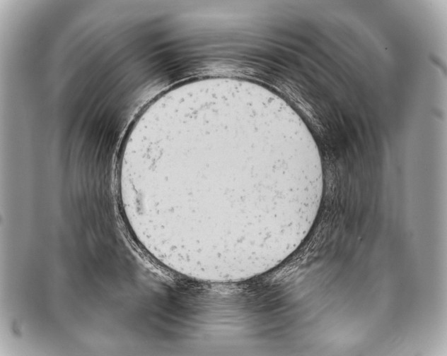 X0000096220848200802081524