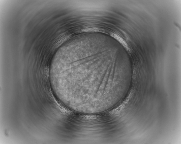 X0000096220849200802081524