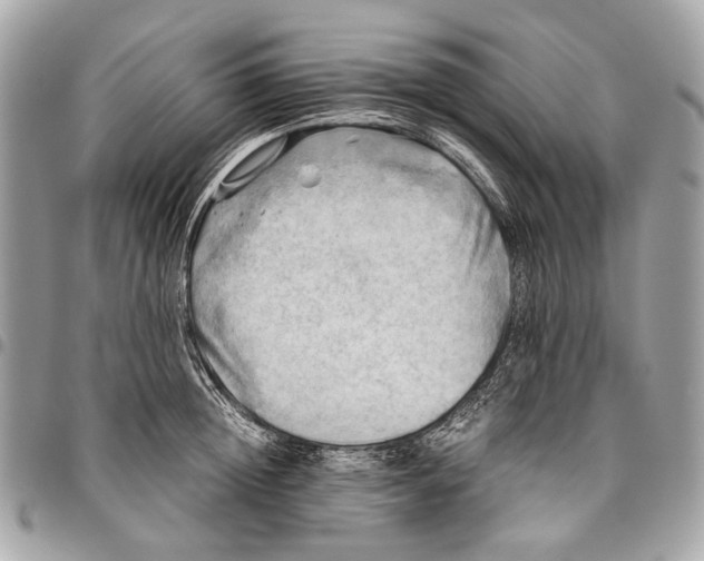 X0000096220852200802081524