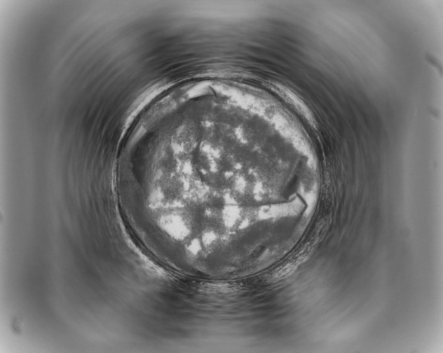 X0000096220855200802081524