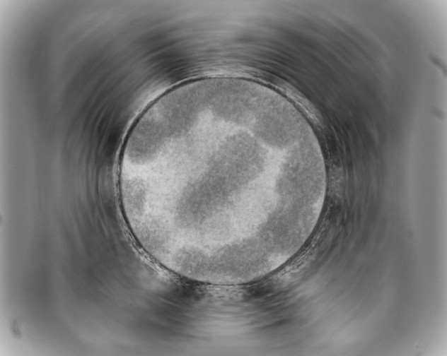 X0000096220856200802081524