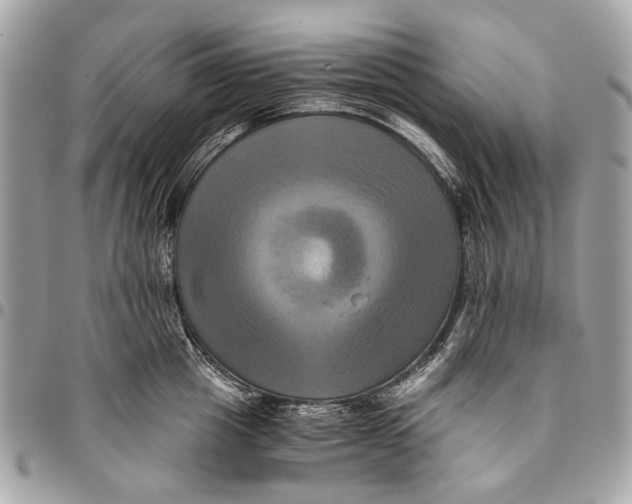 X0000096220857200802081524