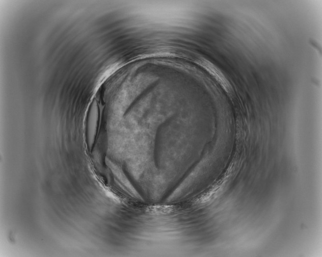 X0000096220858200802081524