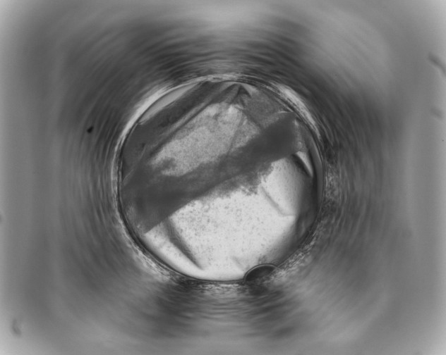 X0000096220859200802081524