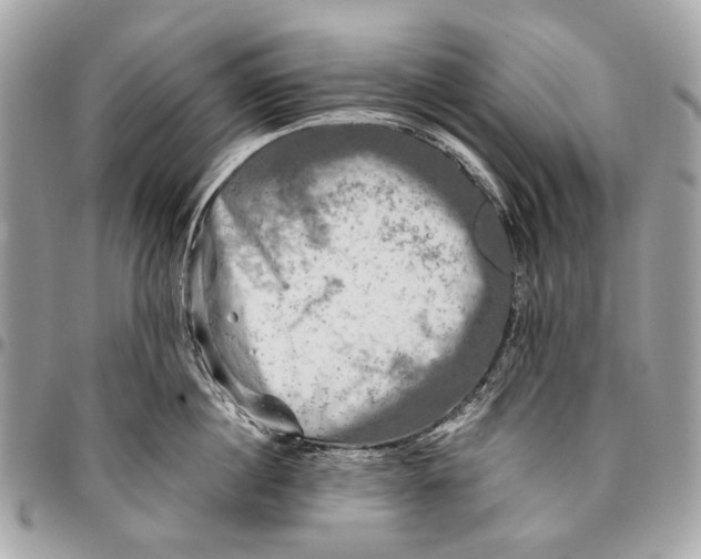 X0000096220860200802081524