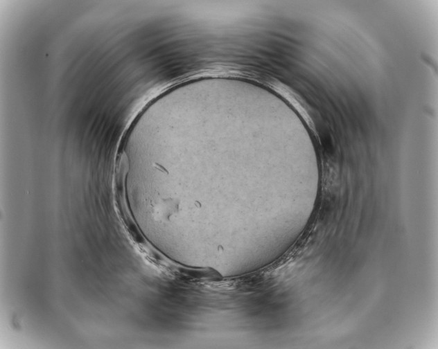 X0000096220861200802081524