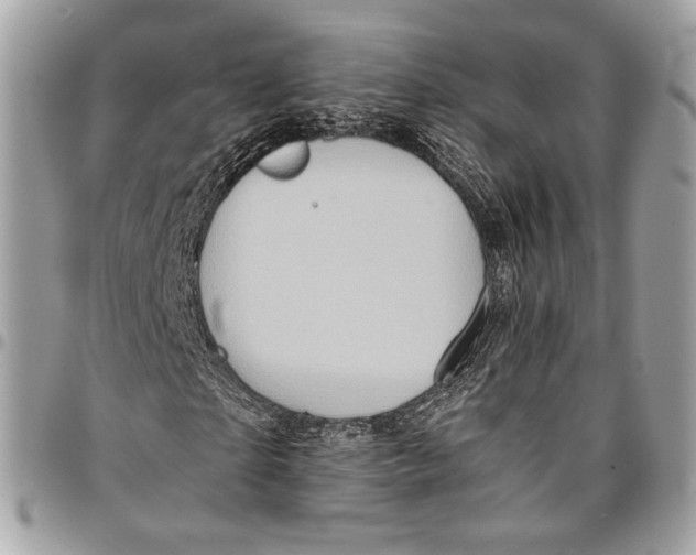 X0000096220865200802081523