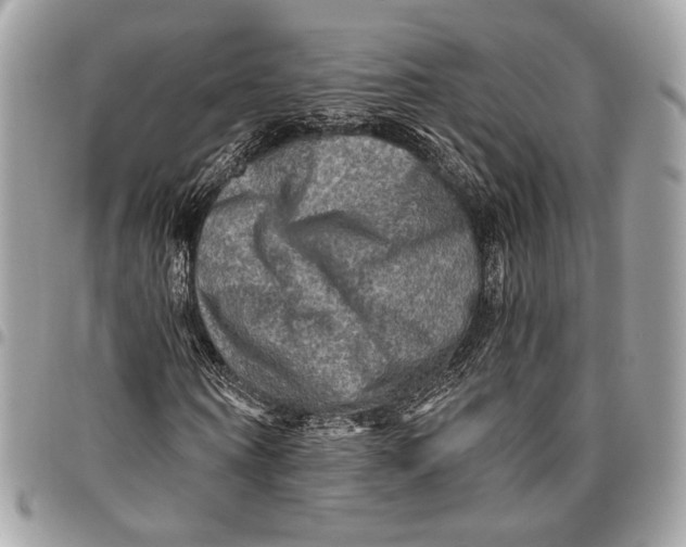 X0000096220866200802081523