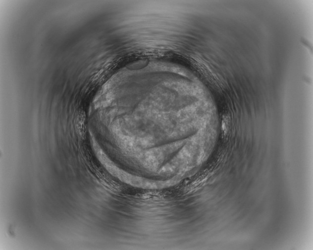 X0000096220867200802081523