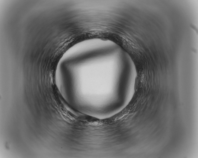 X0000096220868200802081523