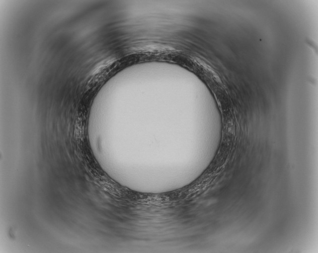 X0000096220869200802081523